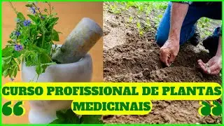 Curso Profissional Cultivo Orgânico de Plantas Medicinais?Como Cultivar e Plantar Plantas Medicinais