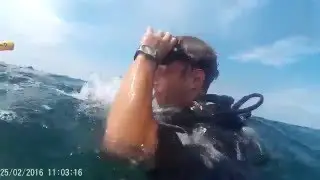 Attacked by Shark (Remora)