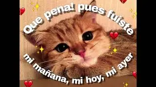 Daniel, Me estás Matando - Quisiera ft. Silvana Estrada (Con lluvia)