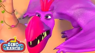 Distracting Storm Wing! | Dino Ranch
