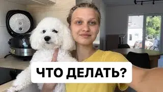 ТЫ ДЕЛАЕШЬ ЭТО НЕ ТАК! *электронная рекрутация в польскую школу! #school
