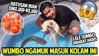 WUMBO NGAMUK MASUK KOLAM RENANG BOCIL! LELE JUMBO & IKAN WARNA-WARNI DIHAJAR HABIS-HABISAN!