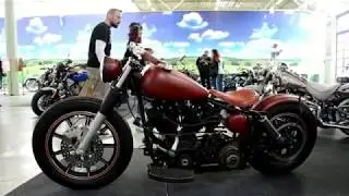 Pannonia custom show Oberwart 2018