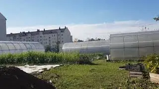 План покупок для сезона 2025,  13.10.24