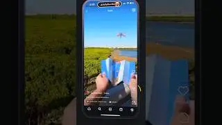 افضل طريقة تنزيل فيديوهات مواقع التواصل