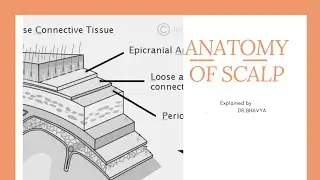 ANATOMY OF SCALP