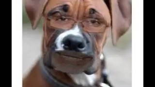 Buon pomeriggio