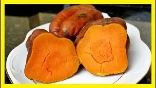 El Camote Es Malo Para La Diabetes 🙋 Propiedades Curativas De La Batata