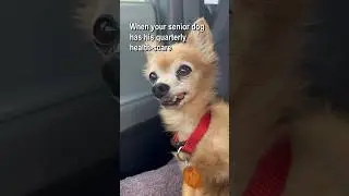 Never give up 
