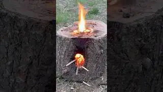 This Fire Hack is INSANE!