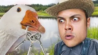 A GOOSE STOLE MY KEYS (Untitled Goose Game)
