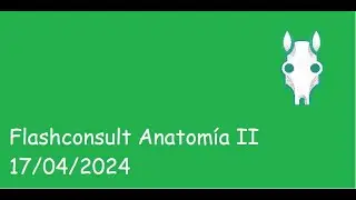 Flashconsult con cabeza 17/04/2024