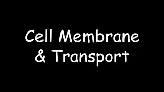 Cell Membrane & Transport