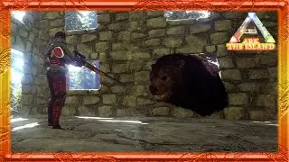 My First Trap - Taming a Dire Bear