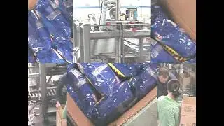20192 BluePrint Automation (BPA) Case Packer Gantry 300 Swing