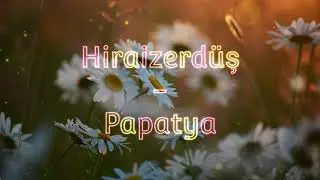 Papatya - Hiraizerdüş, lyrics and English translation, also German and Tajik subtitles