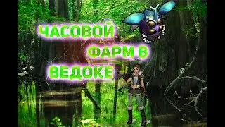 Royal Quest: Часовой фарм в Ведоке.