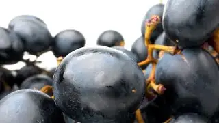Пример как снять рекламное Food видео