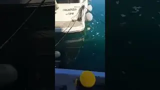 Беспредел в Сочи. Куда смотрят службы?!