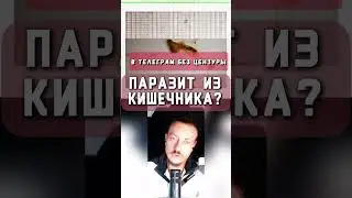 Увеличение живота - причины