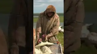🎄 Знаете ли вы, что малочисленные народы раньше не отмечали Новый год 