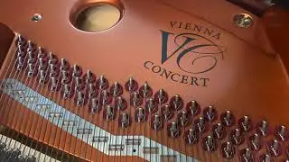 Bösendorfer 214VC Grand Piano