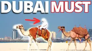 What to Know before visiting Dubai - Travel Guide