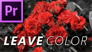 How to LEAVE COLOR in (Adobe Premiere Pro)
