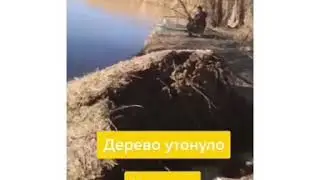 26 февраля 2020 г.