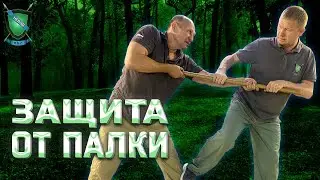 📌КАК ЗАЩИТИТЬСЯ от ПАЛКИ ||  Система НЕВОД