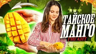 Гигантское манго
