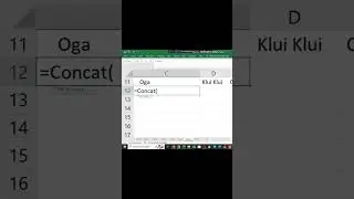 How to use concat function on Excel