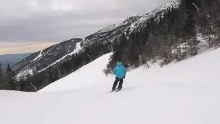 2020 Ski Test - Blizzard Bushwacker Skis