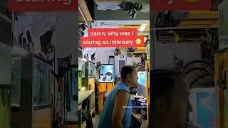 Cichlid fish room voyeur #shorts #fyp #foryou #fishtok