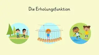 Die Funktionen des Waldes einfach erklärt | sofatutor