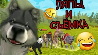 WildCraft ЛЯПЫ😂 И КАК Я СНИМАЛА 🕵️