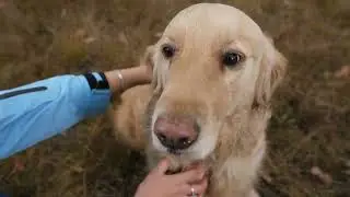 Pet Me Mama