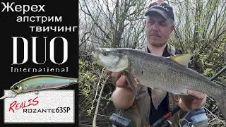 Жерех на DUO Realis Rozante 63 SP