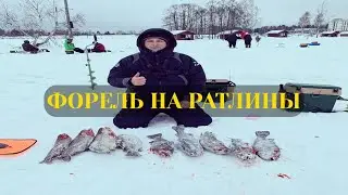 Крупная Форель на Резину/Ловля Форели Зимой/Ловим на Ратлины