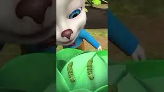 #барбоскины