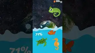 PLANETA TERRA Coisas que você deveria saber #curiosidades #planetas  #universo