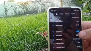 Automatic grass irrigation system - IoT