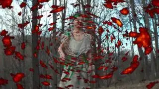 Wild dance (TojOslavy 3) - videoklip Tojstoráků