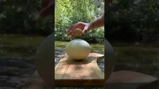 Doğada Devekuşu Yumurtası ile Kahvaltı | Breakfast with Ostrich Eggs in Nature 🥚