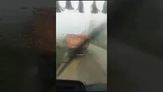 Furtună puternică în Iași