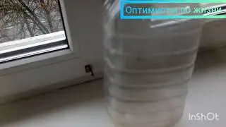 РАННИЕ ПТАШКИ / ДОМОХОЗЯЙНИЧАЮ!