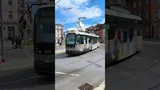 PILSEN | City tram 🚊 near Borský park - 4K #trams