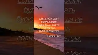 #цитаты#психология#книги#философия#мысли#ожидание#выражения#факты#жизнь#фразы#музыка#уэст#видео