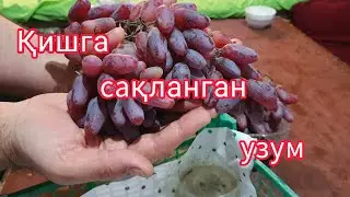 Узумни узоқ муддат сақлаш