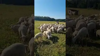 🤣🤣👍🤠